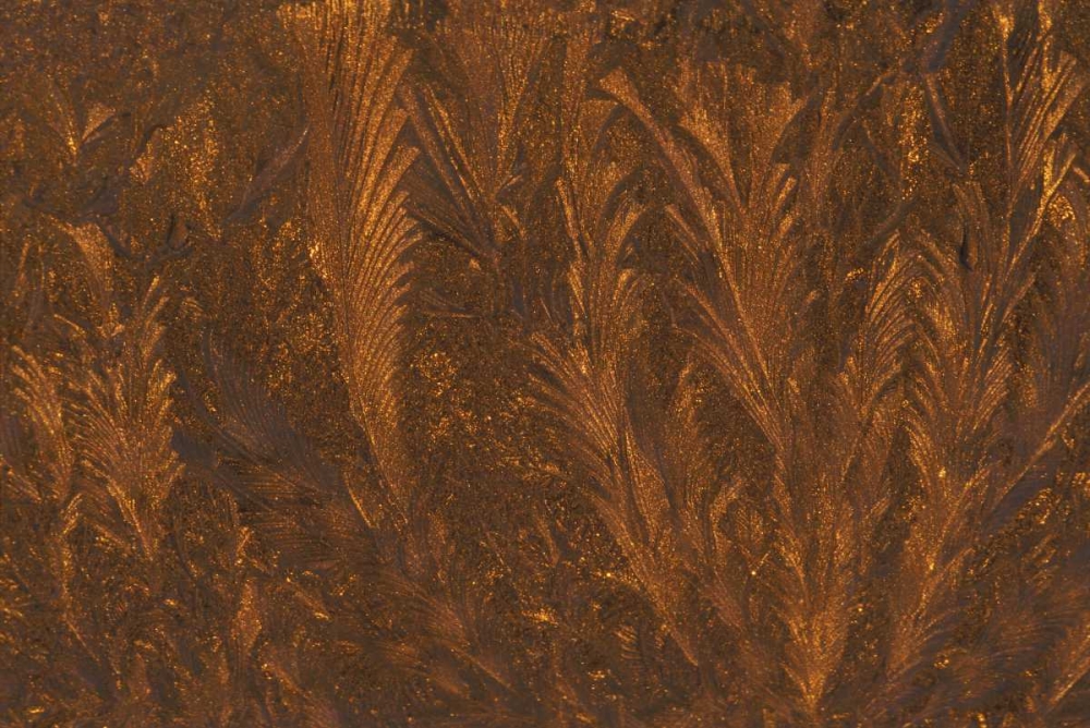 Michigan, Frost patterns on window at sunrise